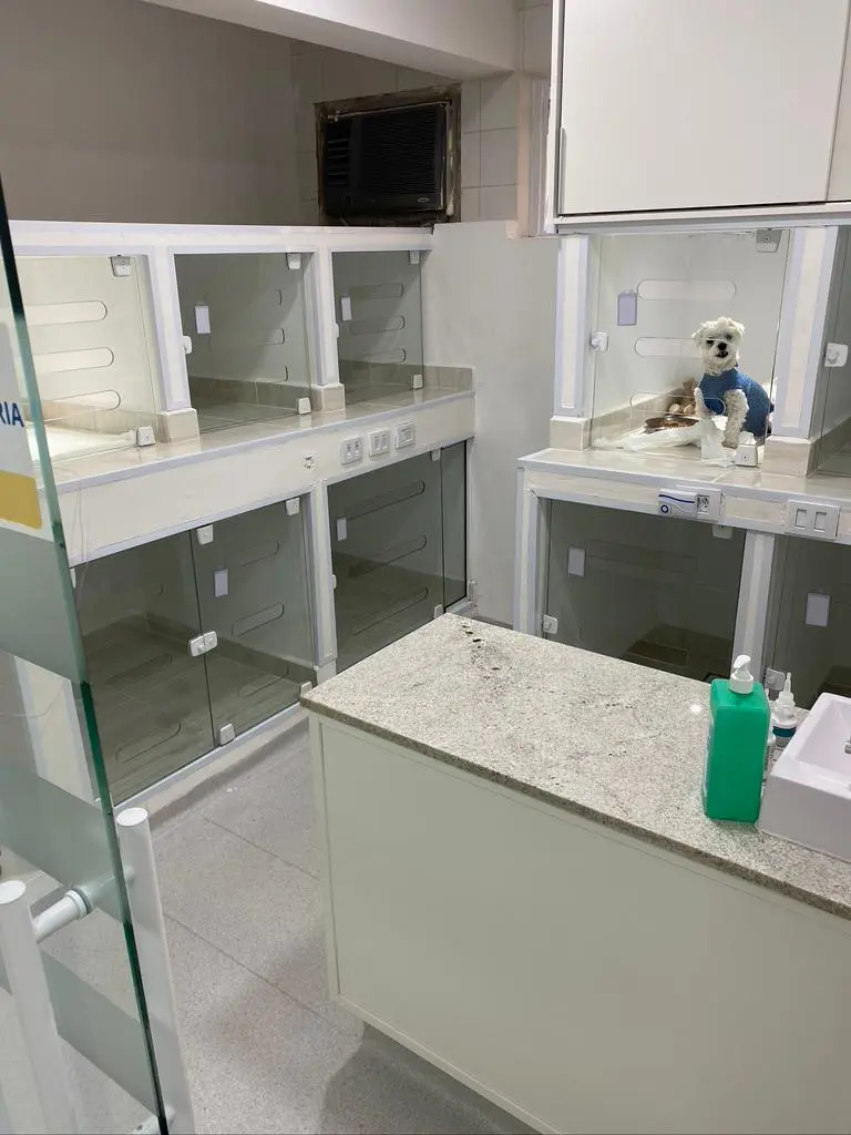 Clínica Veterinária 24h em Vinhedo